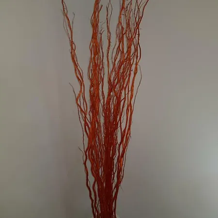 House Chiara גיארדיני נאקסוס