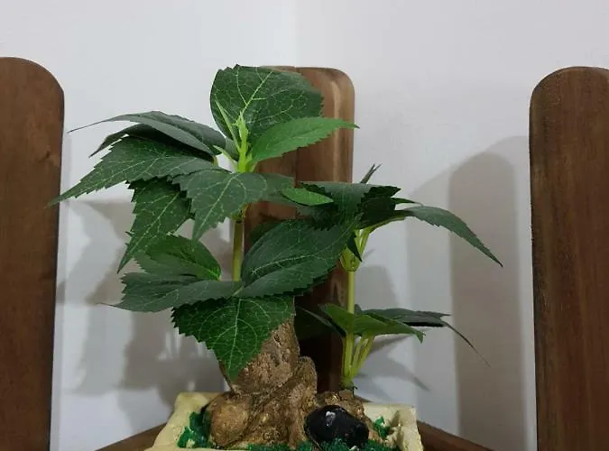 Holiday home House Chiara *