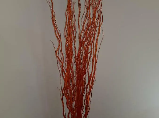 House Chiara Giardini Naxos