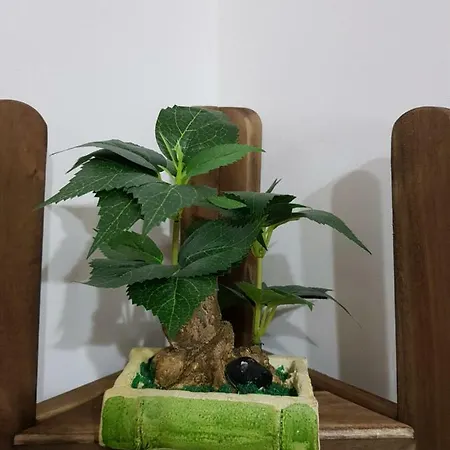 Prázdninový dům House Chiara *